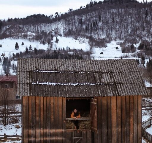 Old broken down shed