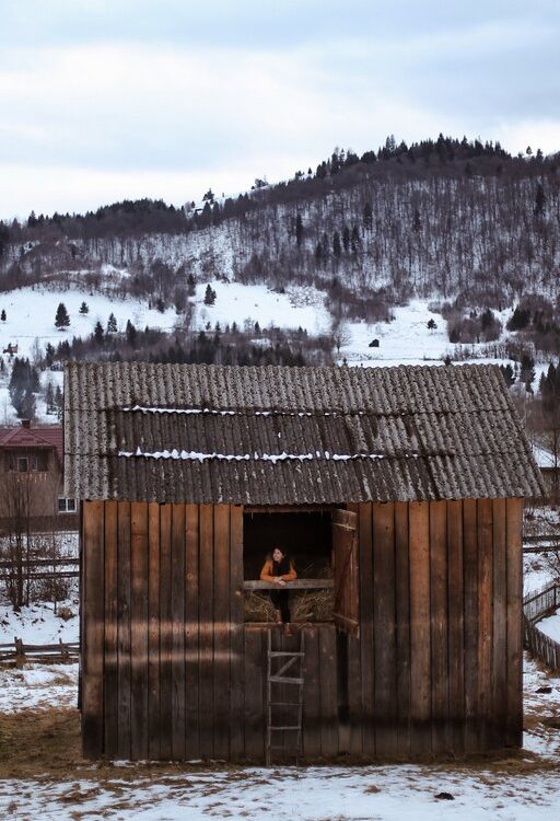 Old broken down shed