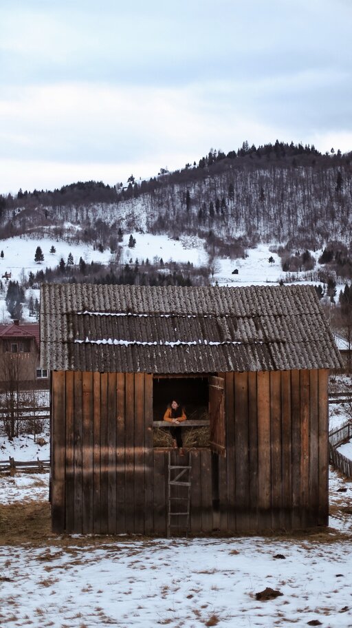 Old broken down shed