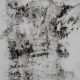 mold on a wall