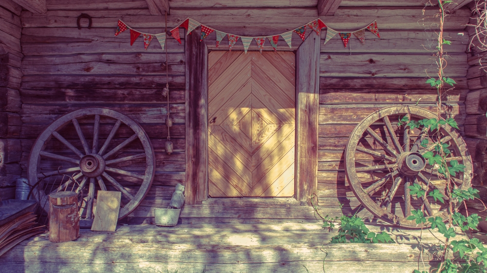 backyard bar shed