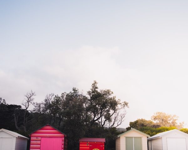 turn your shed into a gym