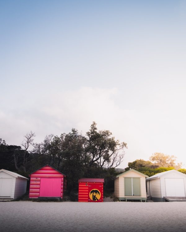 turn your shed into a gym