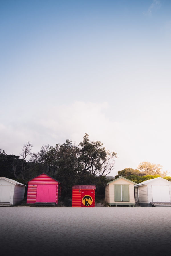 turn your shed into a gym