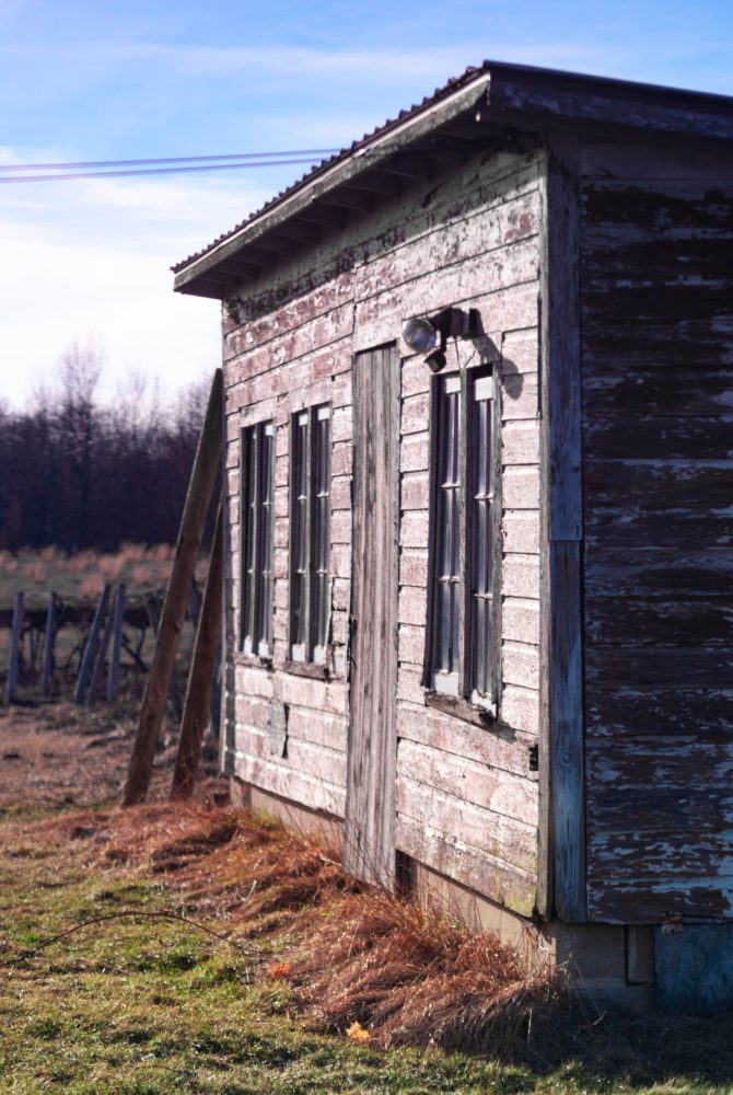 shed remodel