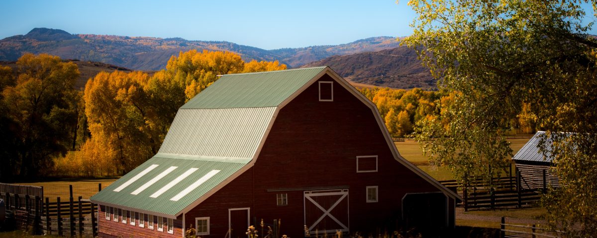 what is the difference between a shed and a barn