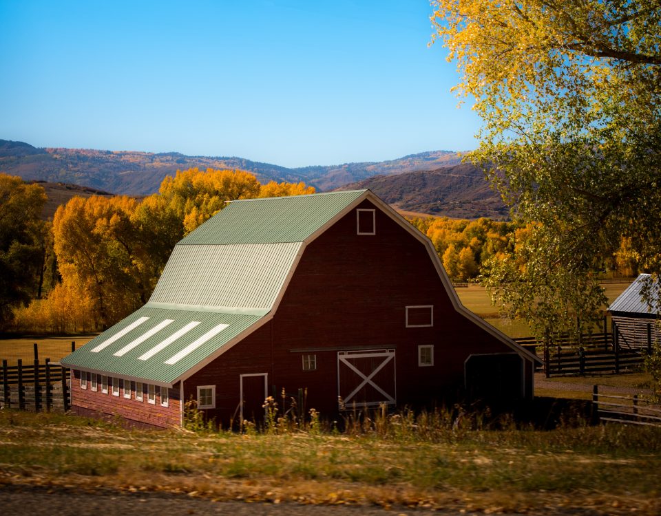 what is the difference between a shed and a barn