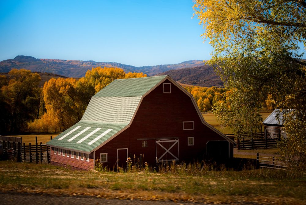 what is the difference between a shed and a barn