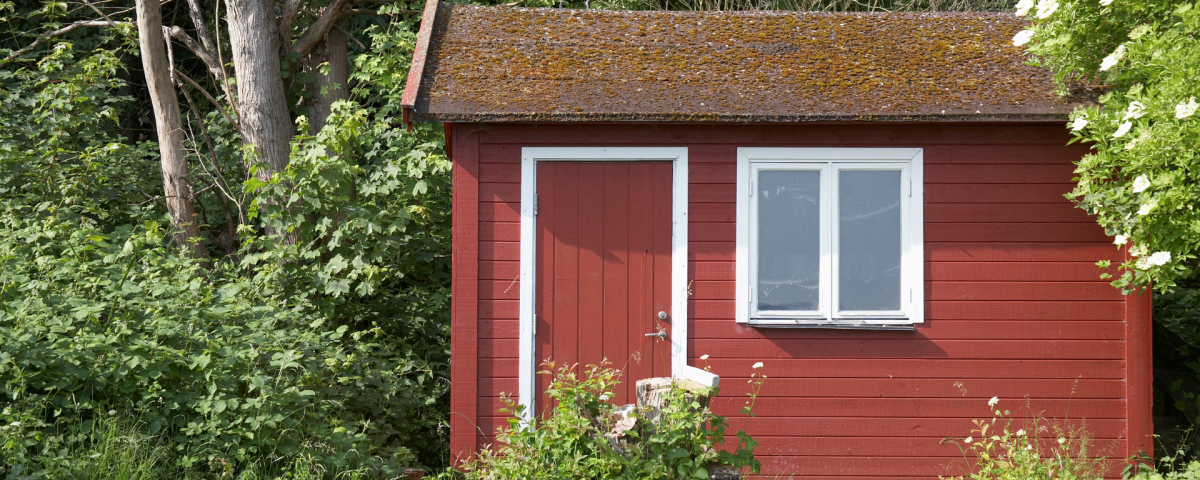 what not to store in a storage shed